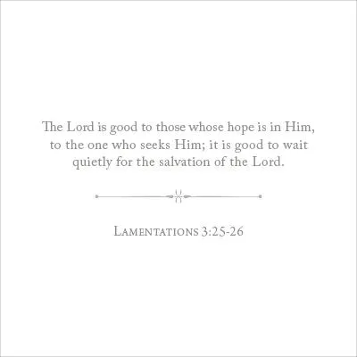 100 Days of Scripture