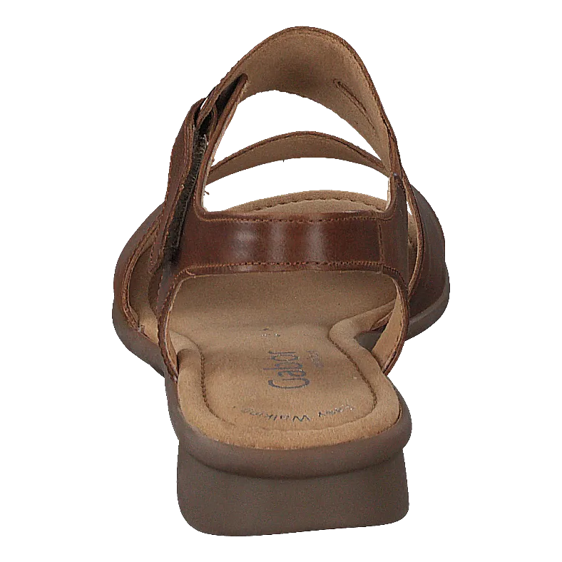 86.063.54 Cognac