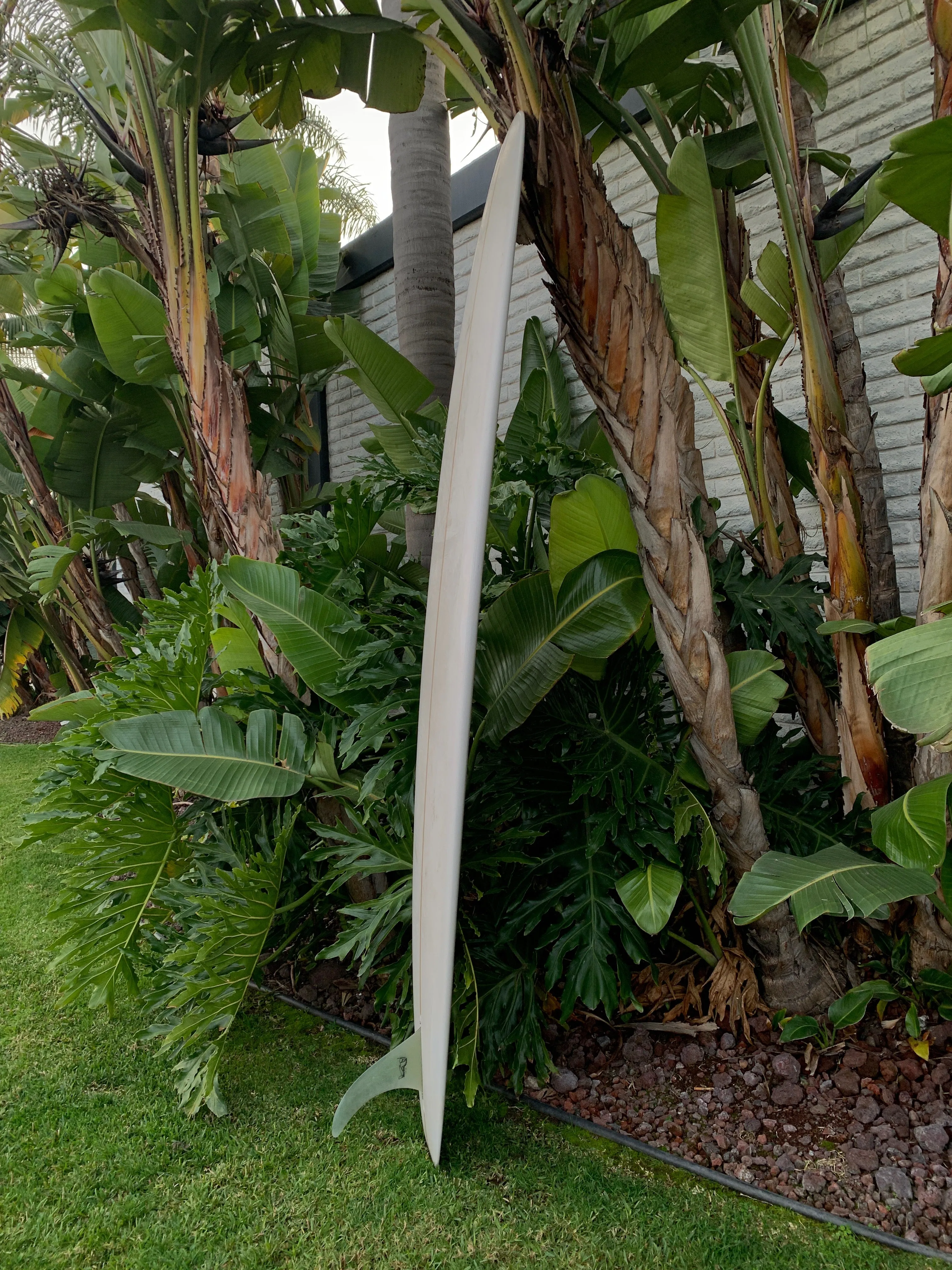 9'5" Schroeder Pepper Tree (Used)