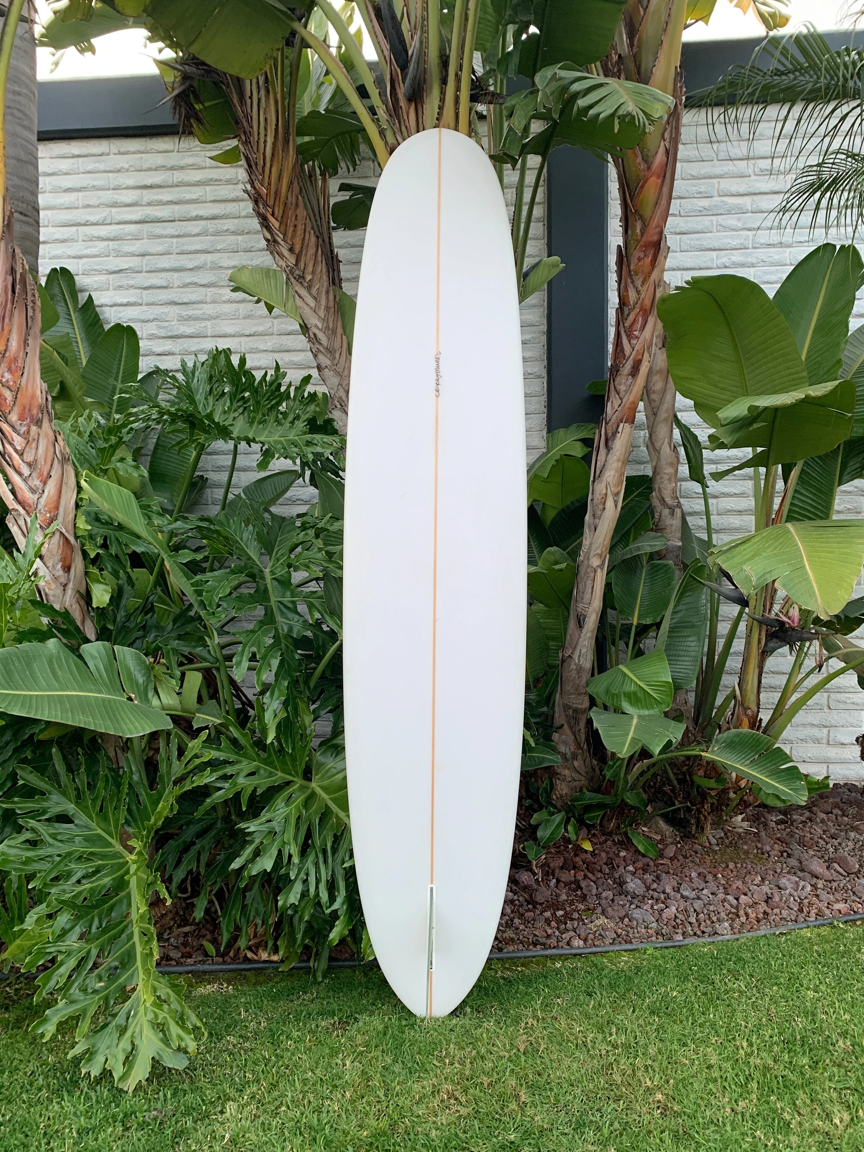 9'7" Corey Munn Pleasure Pin (Used)