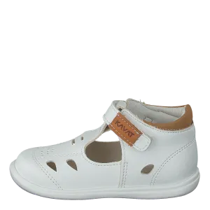 Backe XC White