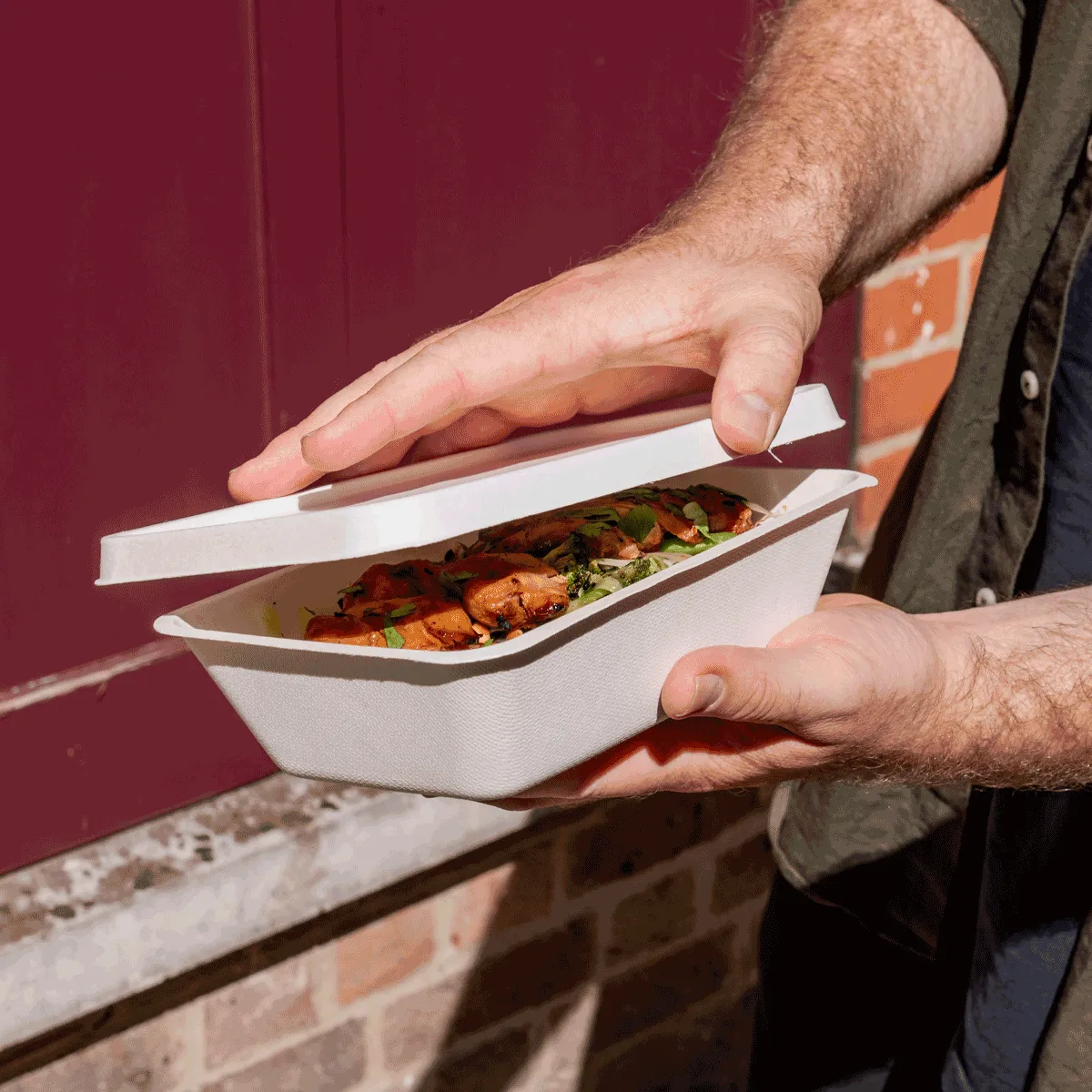 Bagasse - Tray