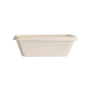 Bagasse - Tray