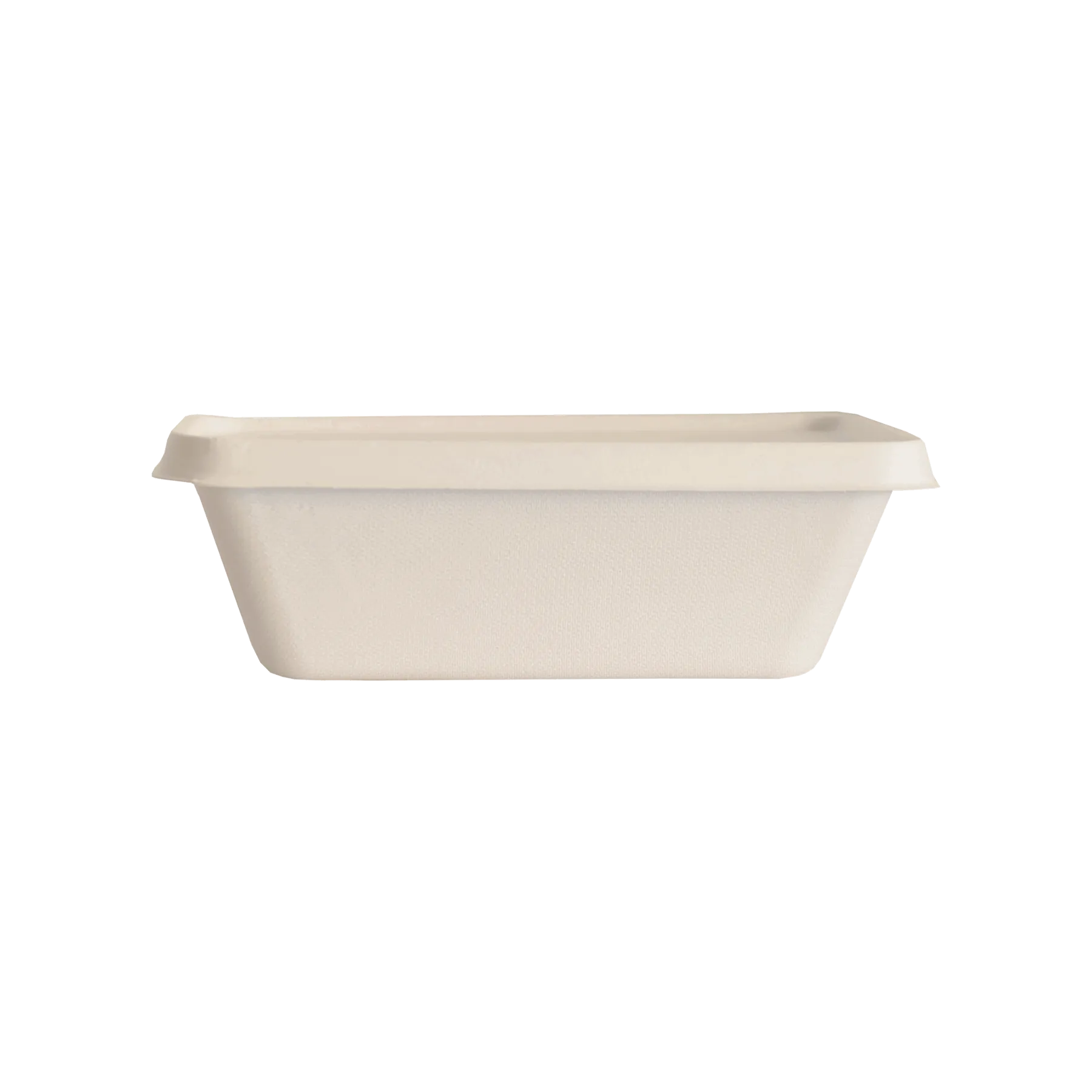 Bagasse - Tray