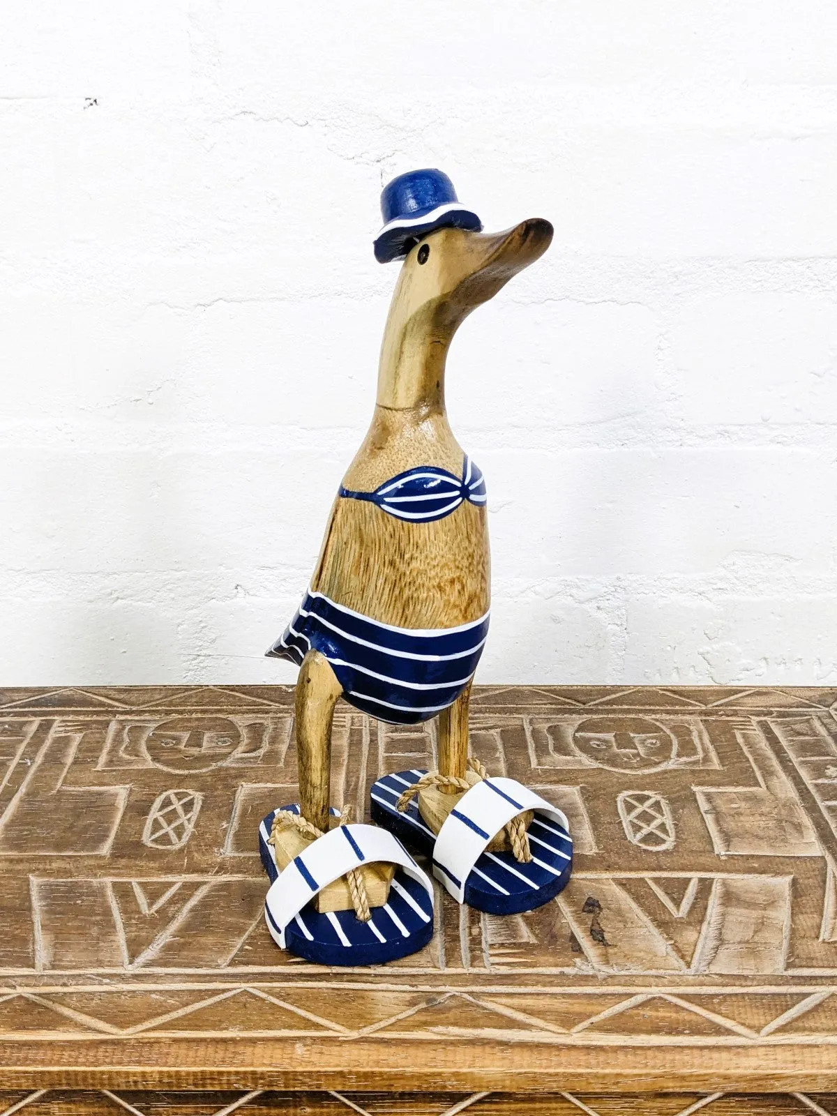 Beach Duck