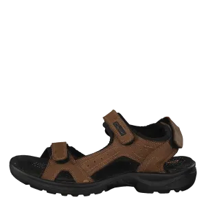 Cavalet Brown