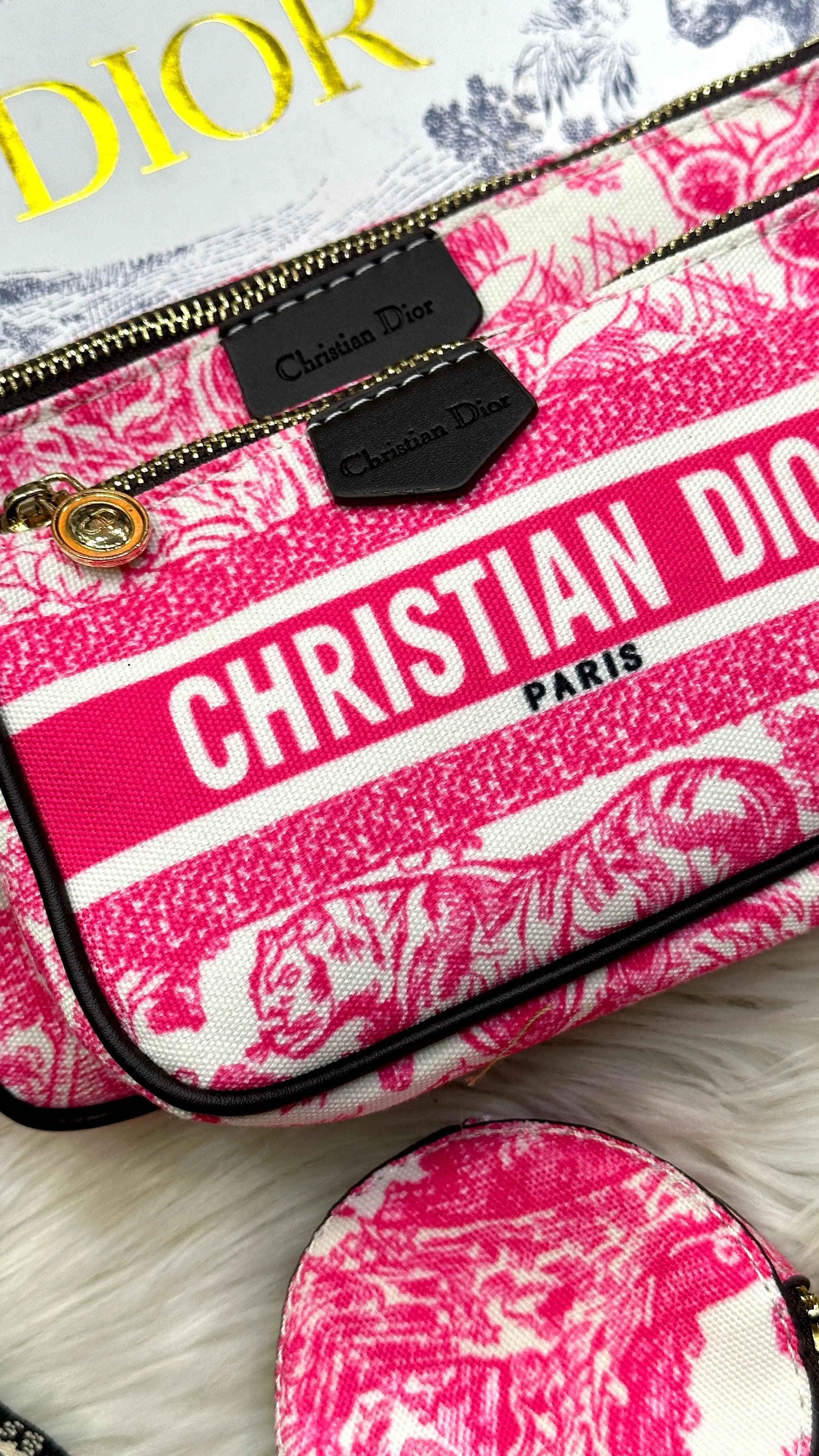 Dior Bag