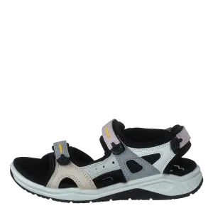 Ecco X-trinsic K Multicolor Blossom Rose