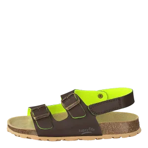 Korkis Brown