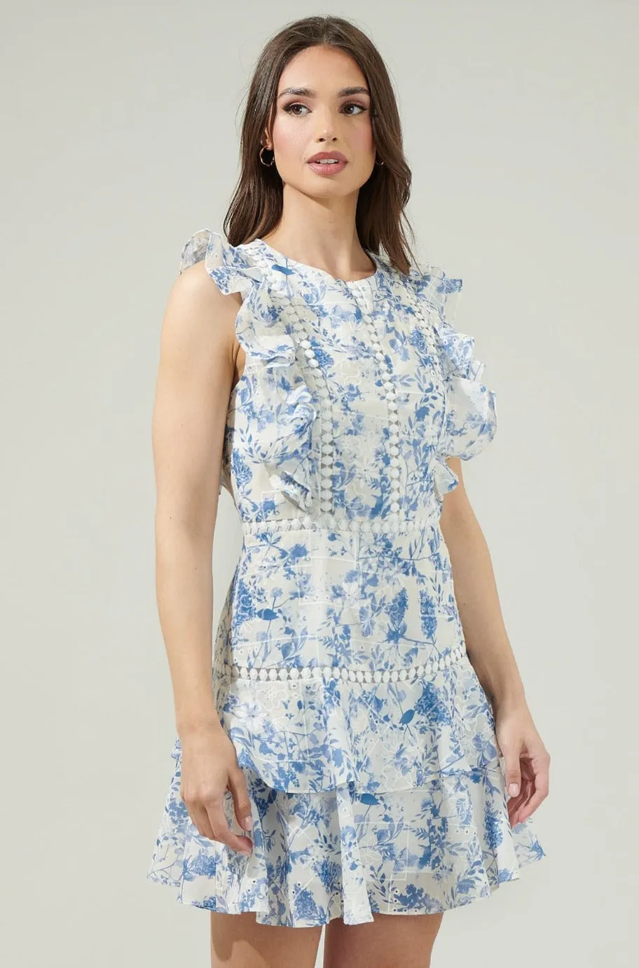 Marie Blue and White Ruffle Dress