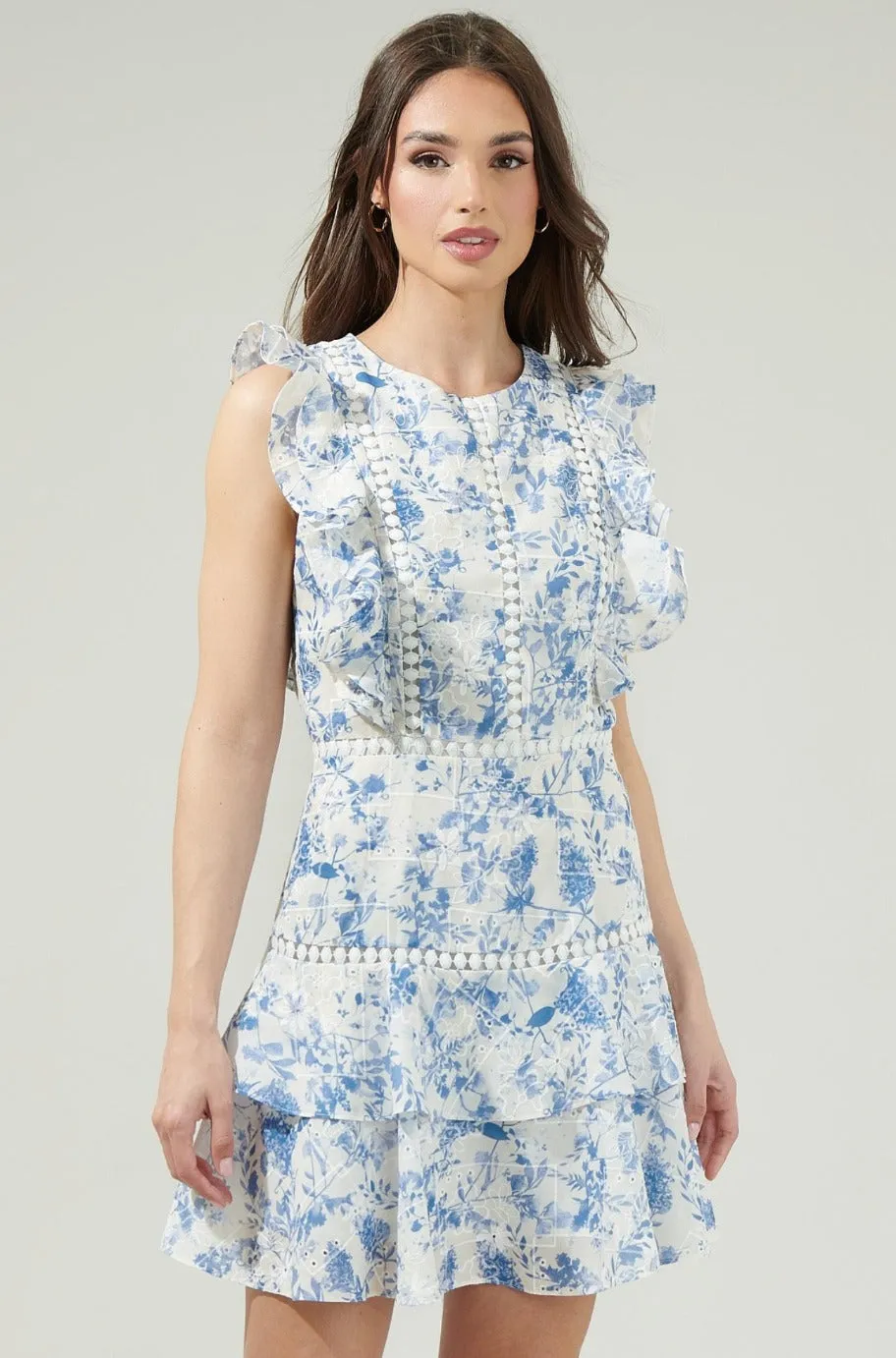 Marie Blue and White Ruffle Dress