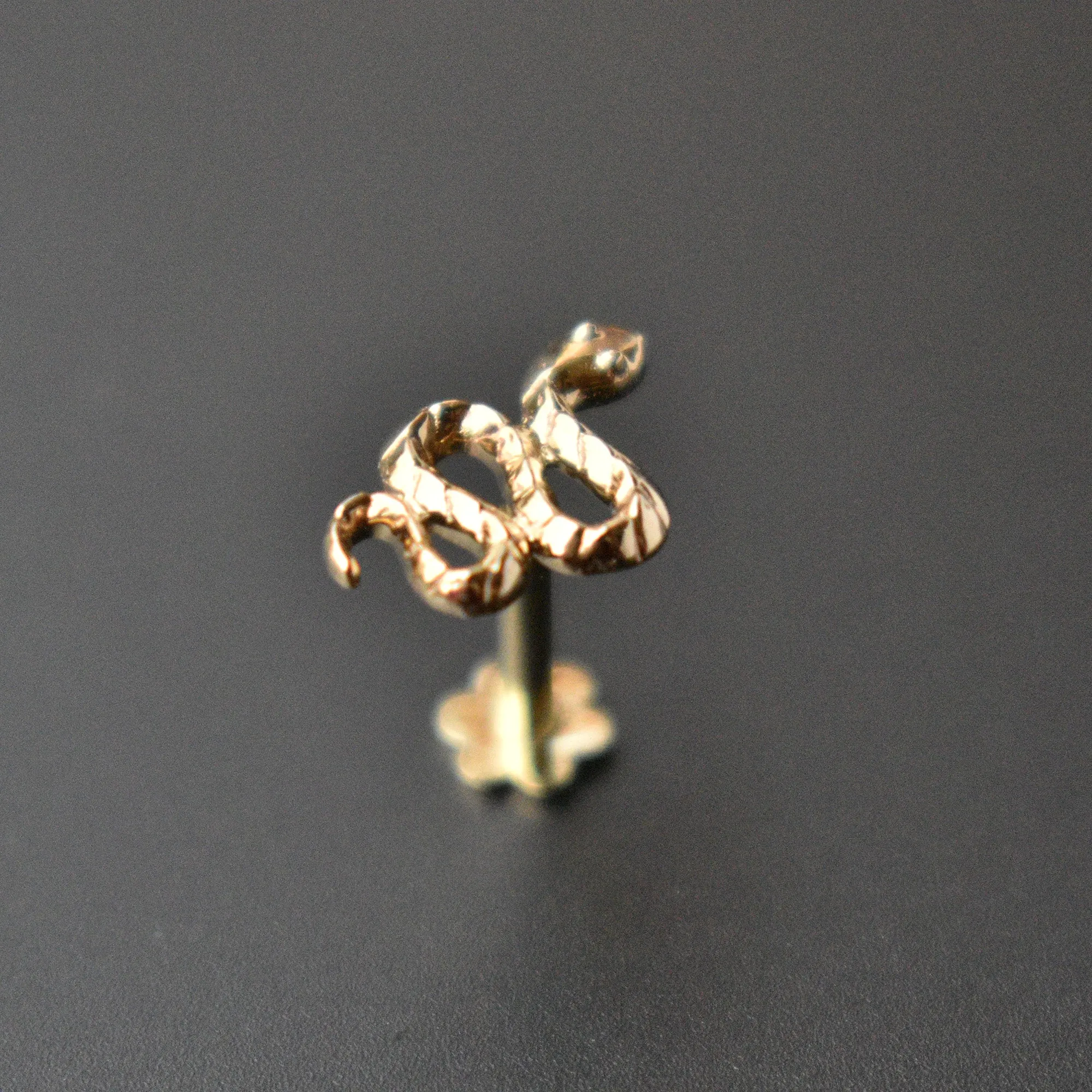 Scaled Snake Earrings