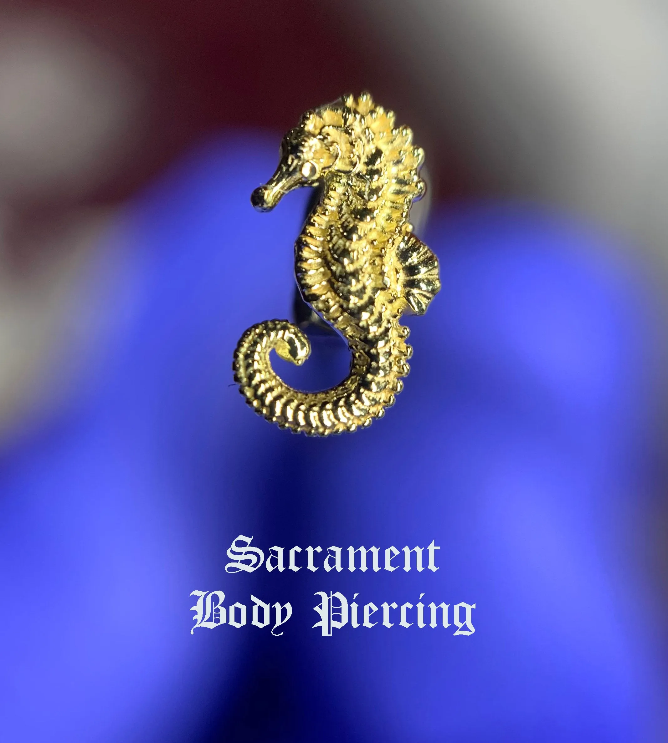 Seahorse ends - 7mm - 18k