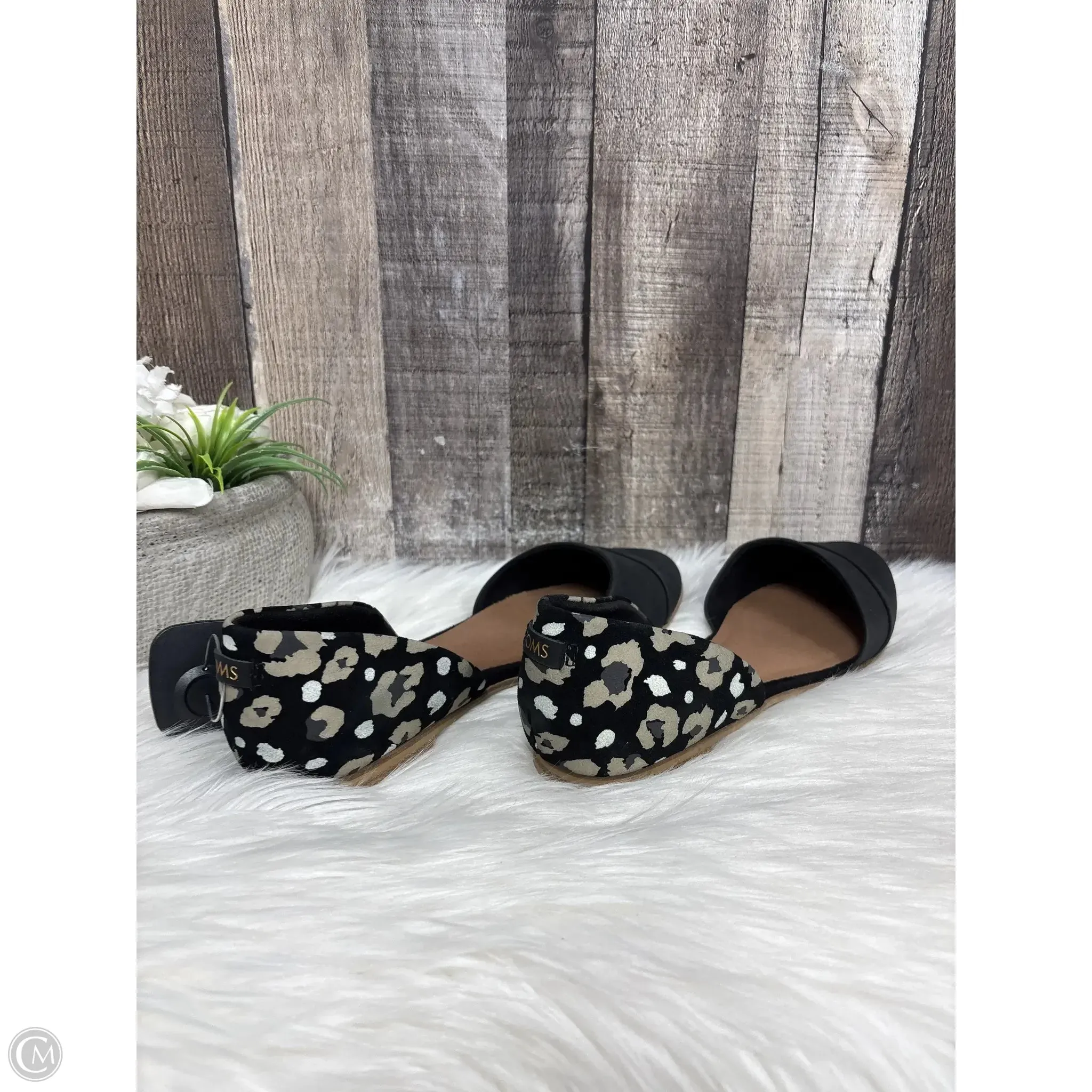 Shoes Flats By Toms In Black, Size: 7.5