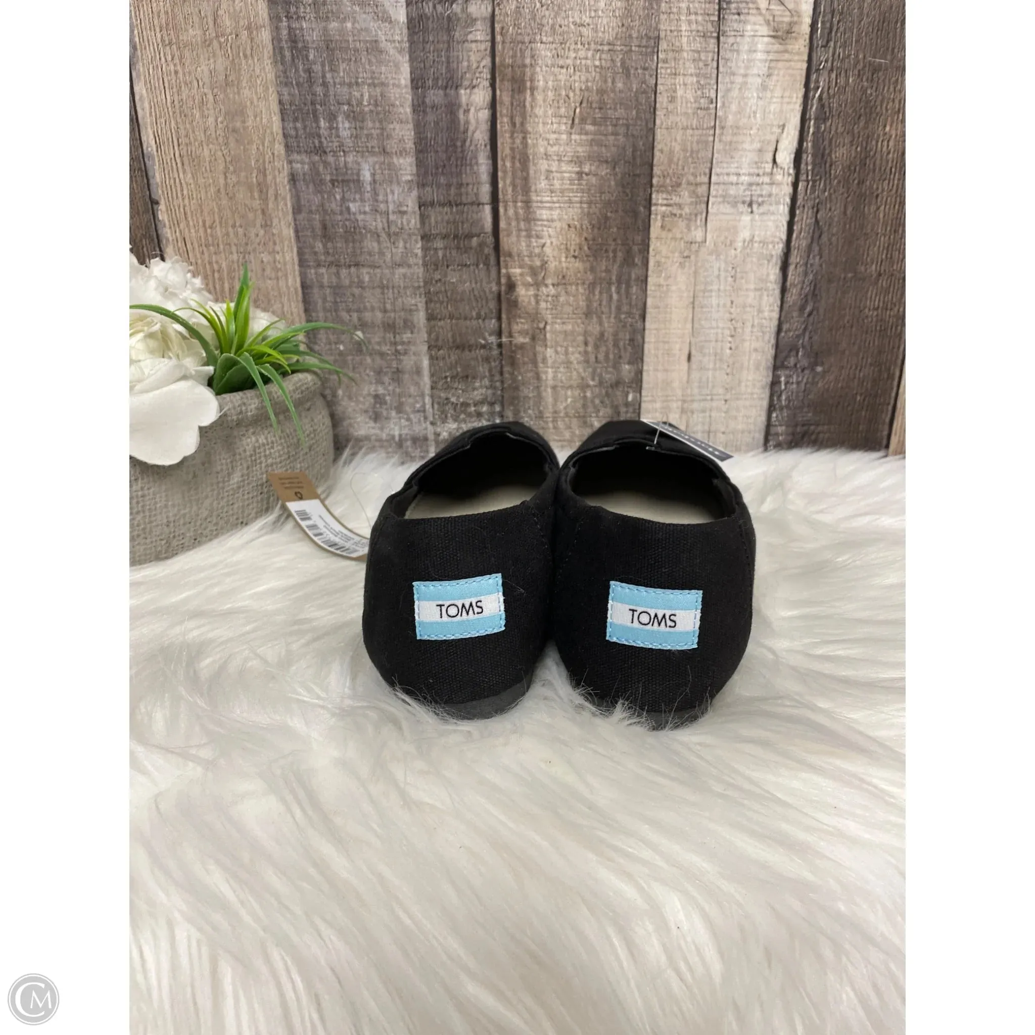 Shoes Flats By Toms In Black, Size: 8