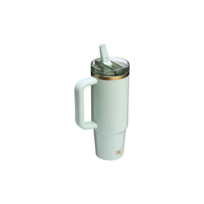 Stanley Quencher ProTour Flip Straw Tumbler "Gilded Celadon"