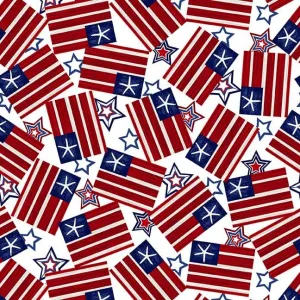 Star-Spangled Beach by Studio E Fabrics FLAGS/WHITE