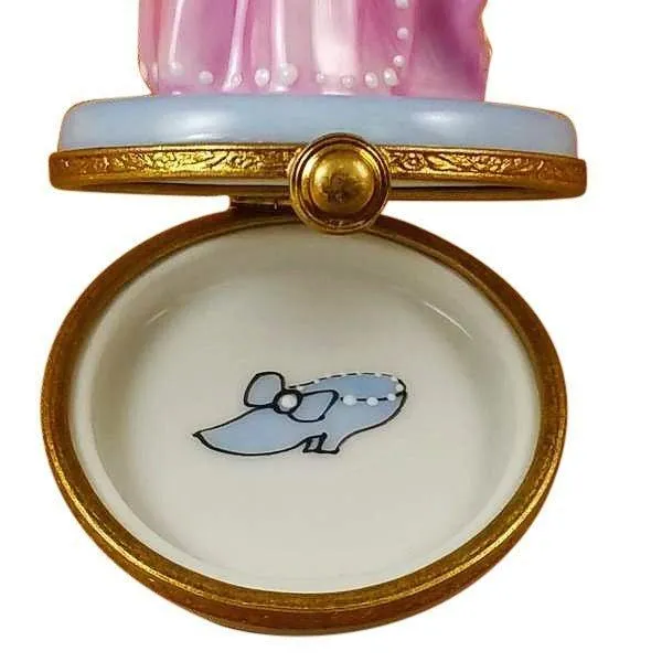 The Princess Maybe Cinderella