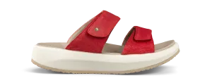 Vienna II red II