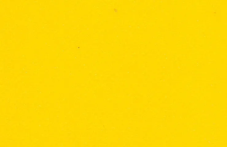 Vinyl Fabric